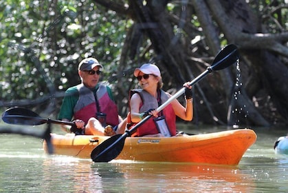 Damas Island Kayaking Mangrove Tour from Manuel Antonio
