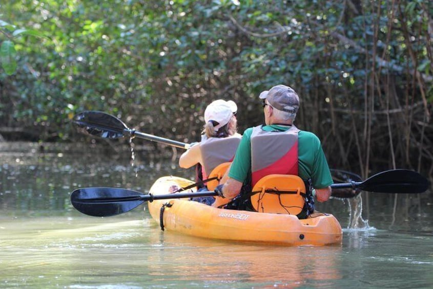 Damas Island Kayaking Tour