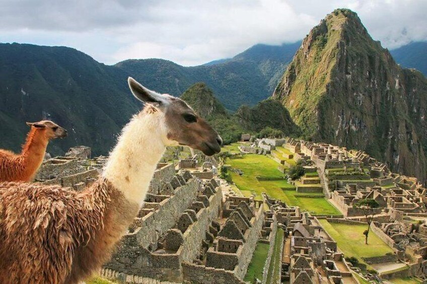 6-Day -All Included-Cusco-MachuPichu-Rainbow Mountain&Humantay Lake ||Private||
