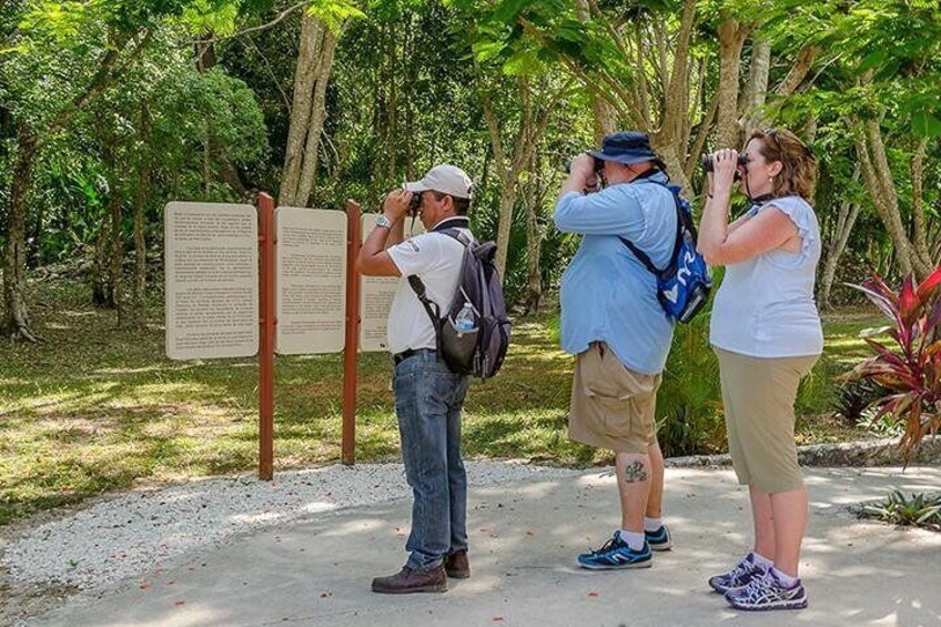 Bird Watching Tour Cancun & Riviera Maya