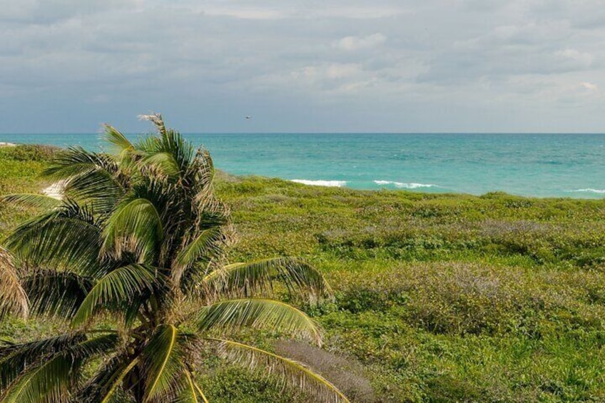 Isla Contoy Private Day Tour, from Cancun