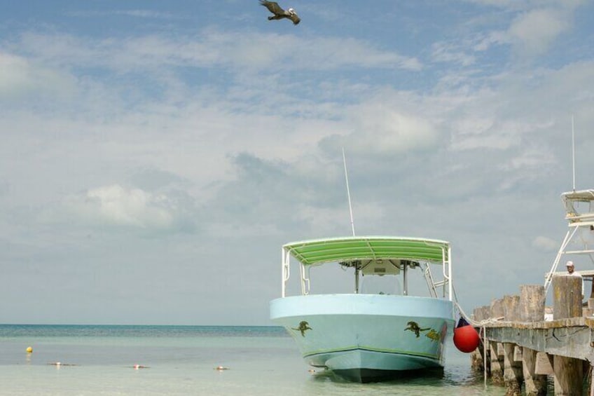 Isla Contoy Private Day Tour, from Cancun