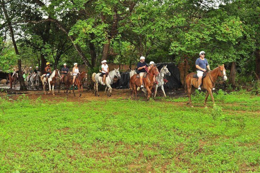 horseback riding tour in the volcano