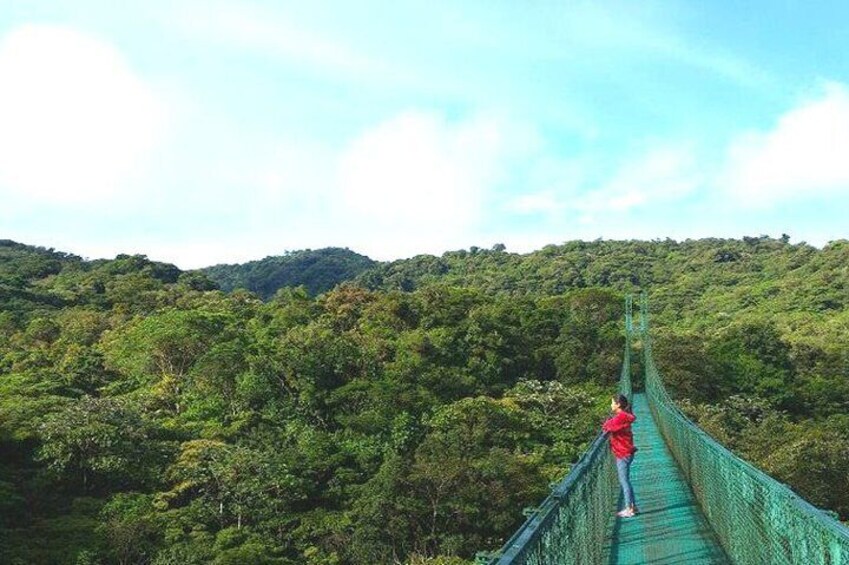 Full Day to Monteverde Cloud Forest from Guanacaste