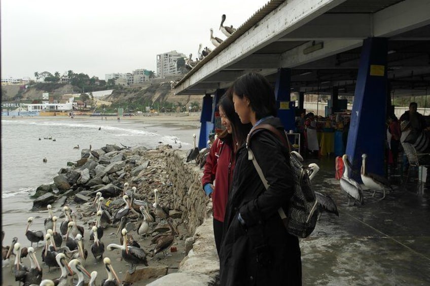 The pier is full of pelicans waiting for the leftovers of the market