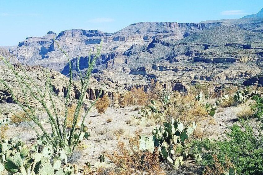Apache Trail 