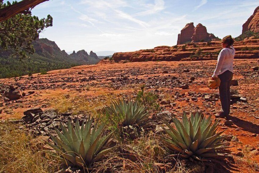 Explore Sedona off the beaten path