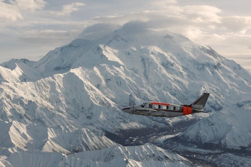 Twin Engine Piper Navajo, Denali