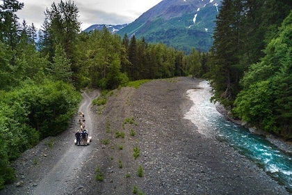 Visite guidée du parc national Seward et Kenai Fjords avec déjeuner