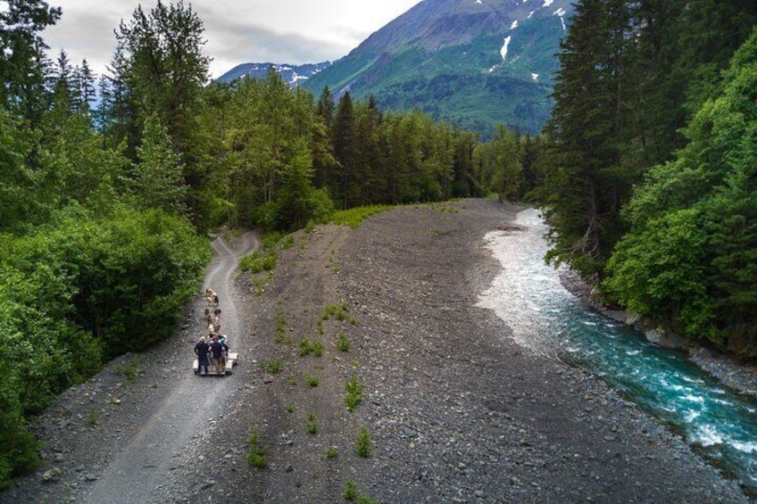 Wilderness Real Alaska Tour