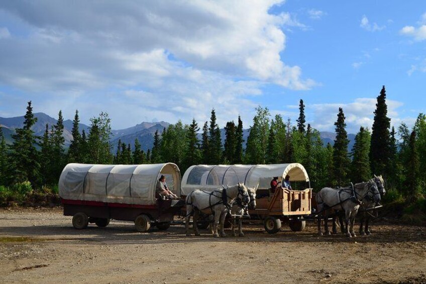Horse-Drawn Covered Wagon Ride with Backcountry Dining