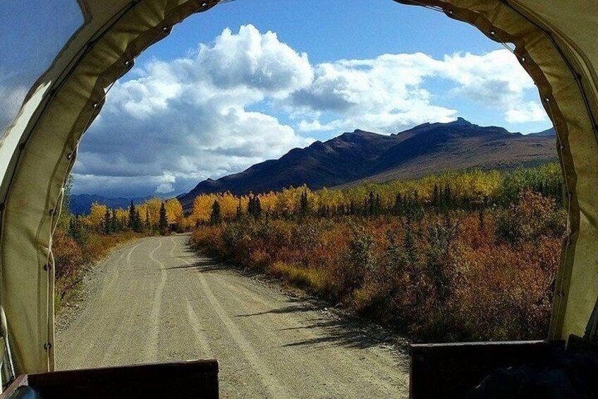 Horse-Drawn Covered Wagon Ride with Backcountry Dining