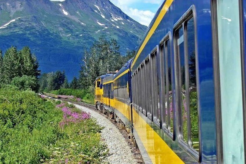 Alaska Railroad Denali to Anchorage One Way