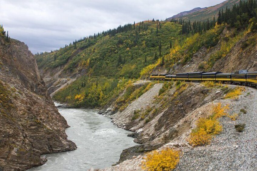 Alaska Railroad Denali to Anchorage One Way