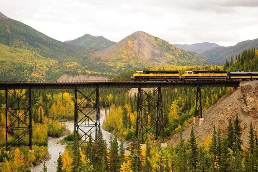 Alaska Railroad Denali to Anchorage One Way