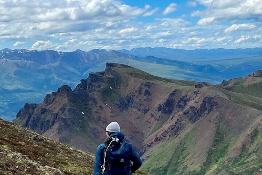 Denali National Park Walking Tour