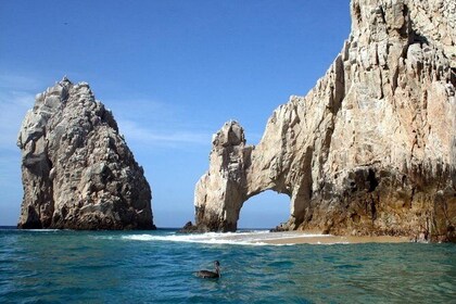 Small Group Tour of Los Cabos