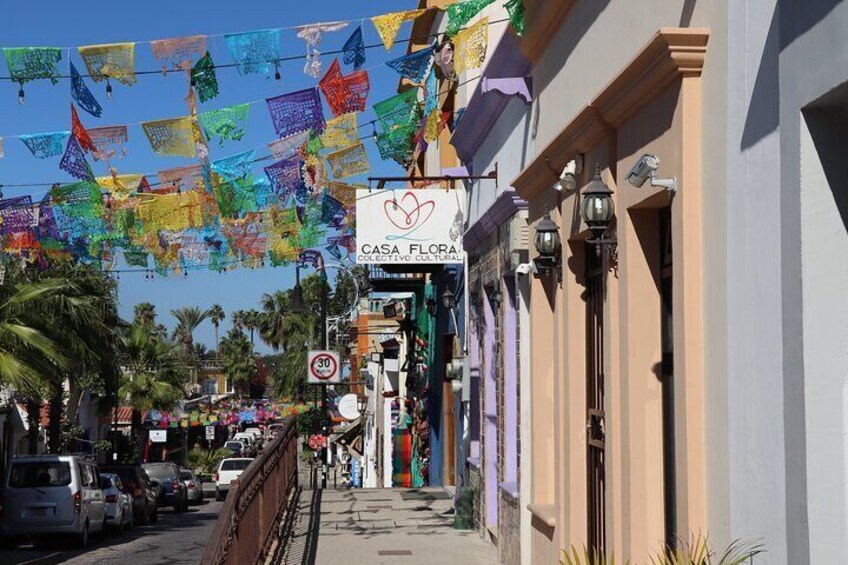 Small Group City Tour Los Cabos with Lunch, Tequila and Candy