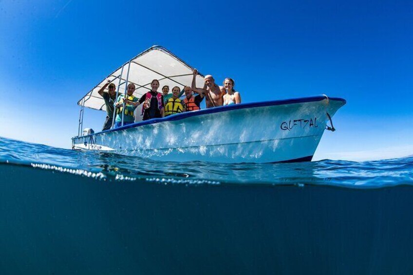 Whale Shark snorkeling tour in a reduced group with local marine biologist