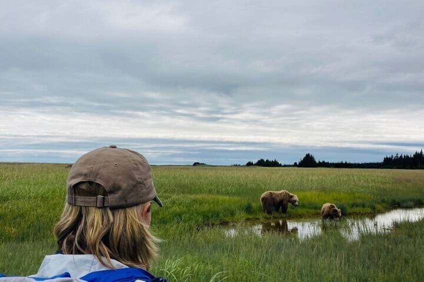 Alaska Bear Viewing Adventure from Seward