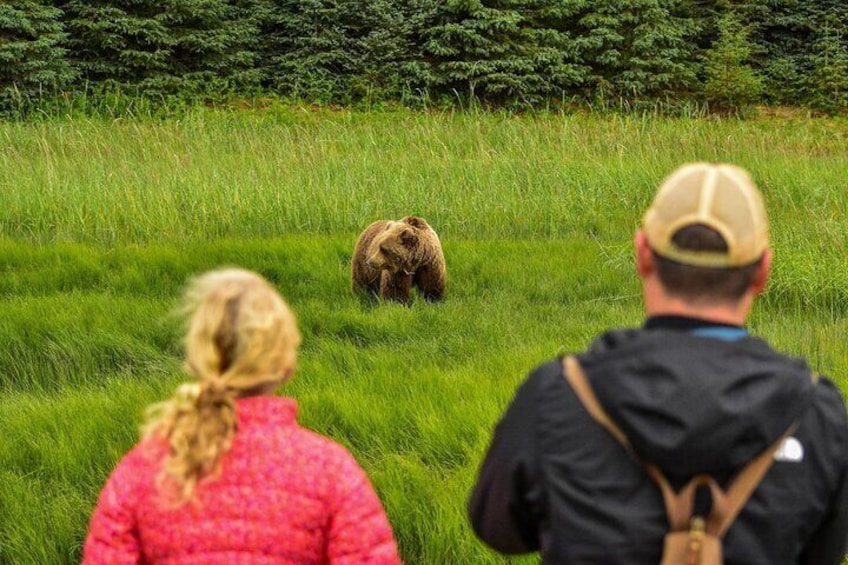 Alaska Bear Viewing Adventure from Seward