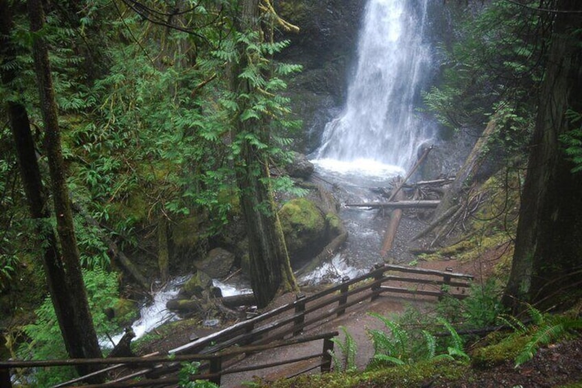 Marymere Falls upper viewpoint