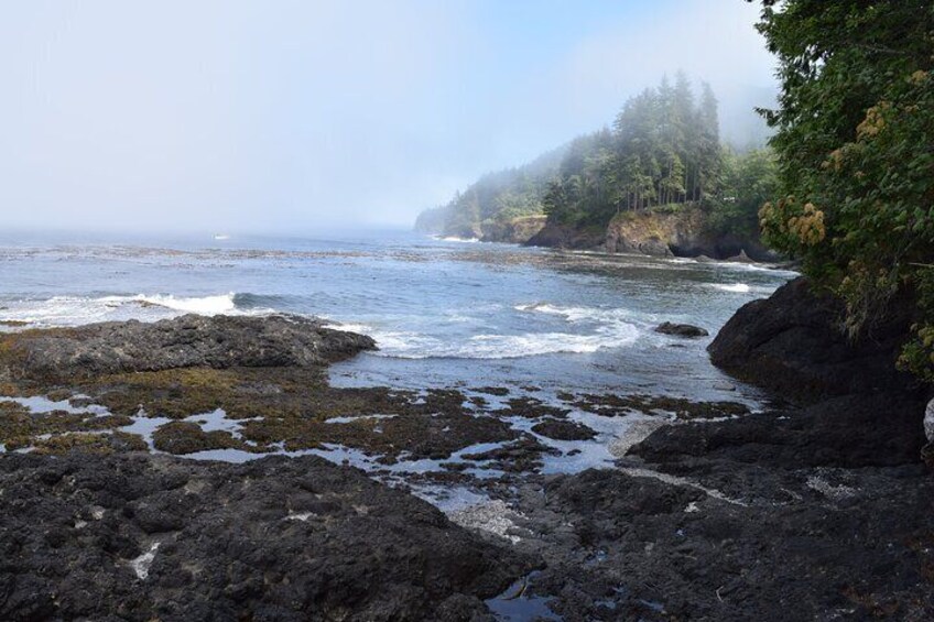 Salt Creek County Park