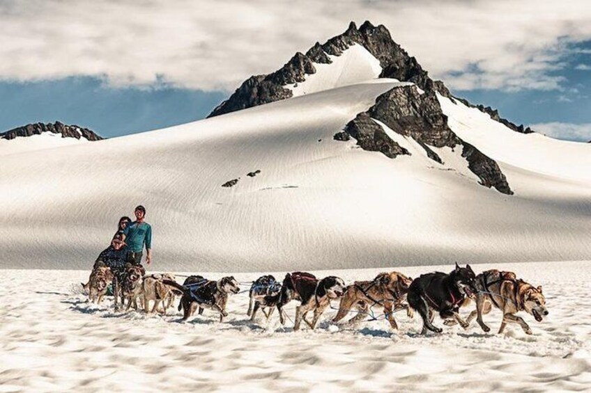 Godwin Glacier dog sledding is a bucket list excursion combining a scenic helicopter flight, glacier landing and dog sledding with Iditarod sled dogs!