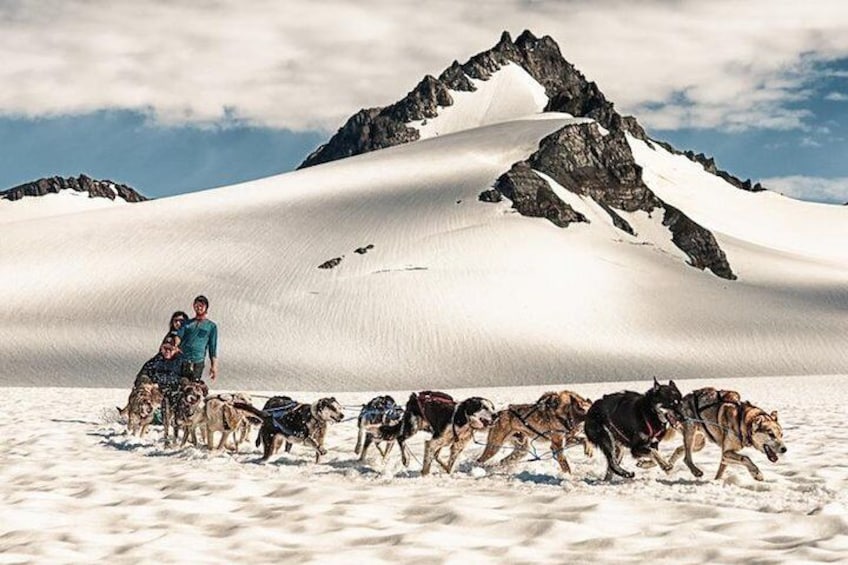 Godwin Glacier dog sledding is a bucket list excursion combining a scenic helicopter flight, glacier landing and dog sledding with Iditarod sled dogs!