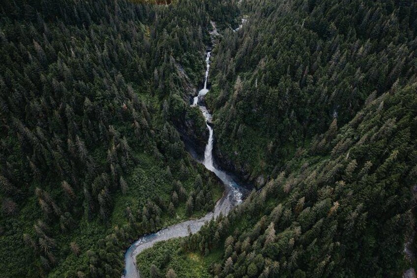 45-Minute Scenic Flight to Aialik Glacier and Bear Glacier from Seward