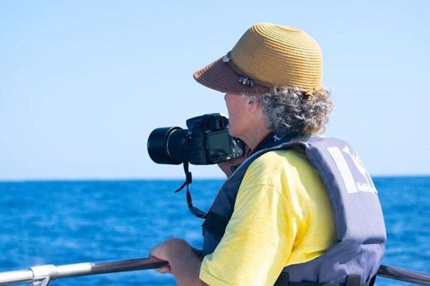 Whale Photography Tour