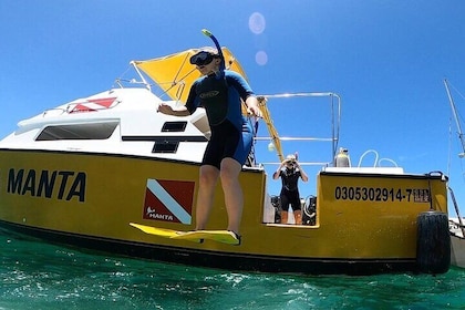 Guided by Divemaster, Cabo San Lucas short Snorkeling Tour MANTA