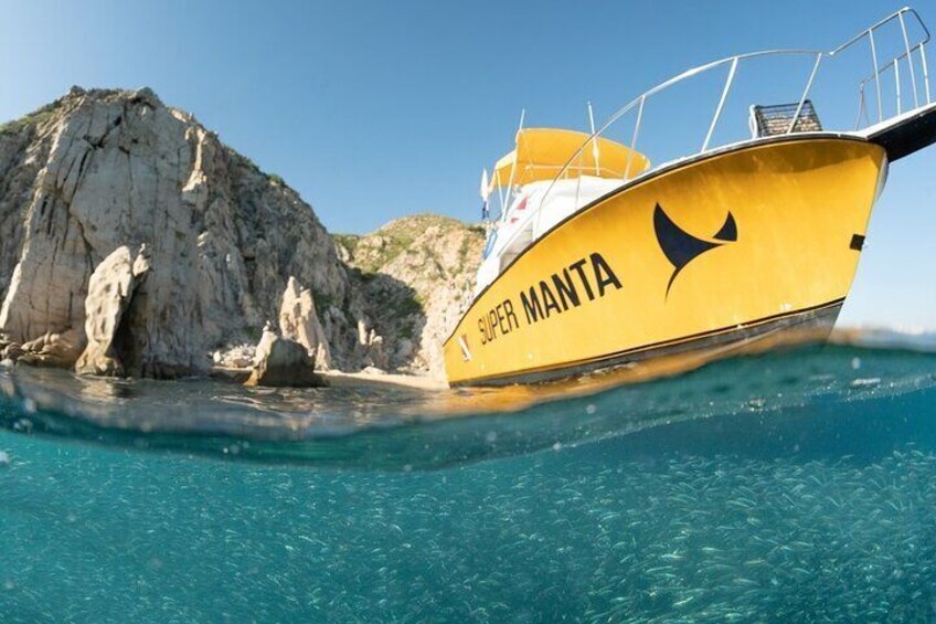 Cabo San Lucas Marine Park Snorkeling Tour with MANTA
