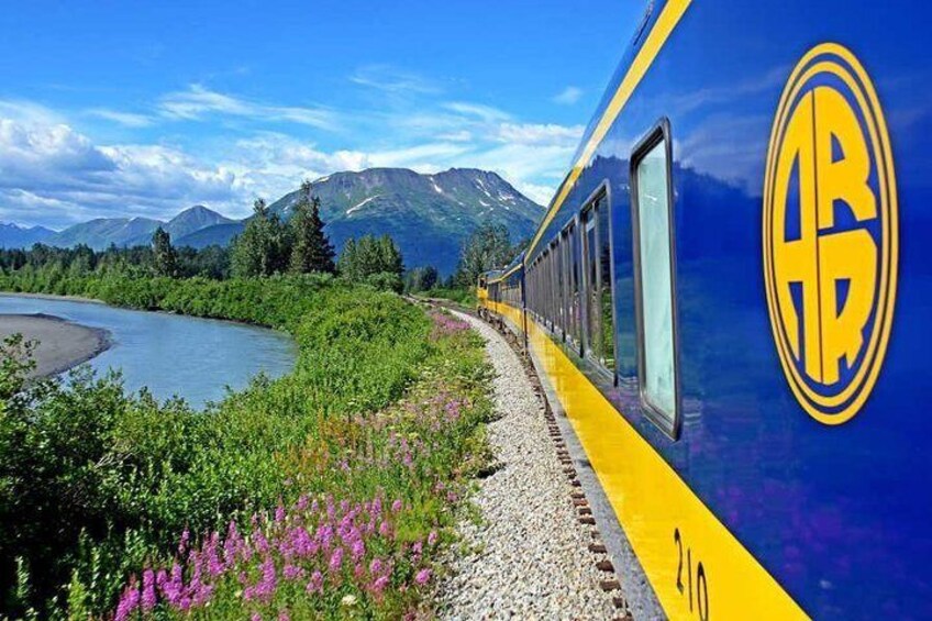 Alaska Railroad Anchorage to Denali One Way