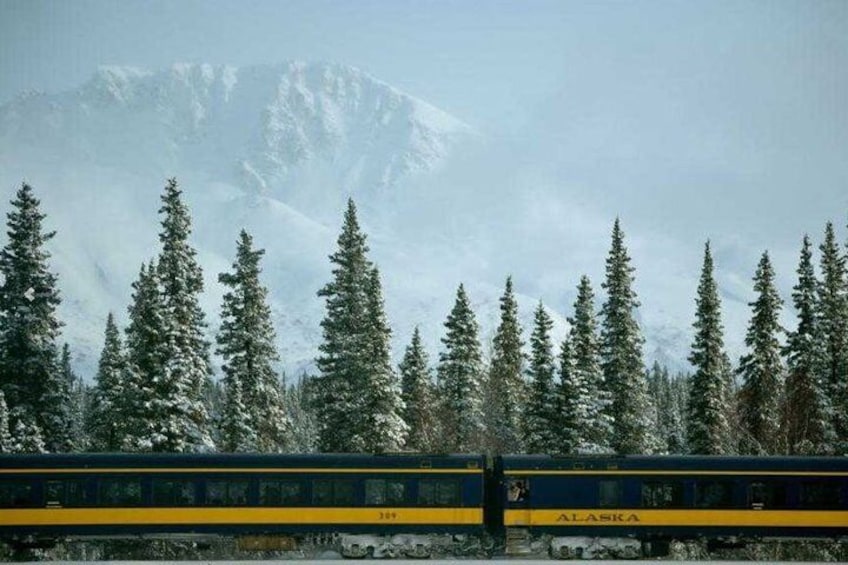 Alaska Railroad Anchorage to Denali One Way
