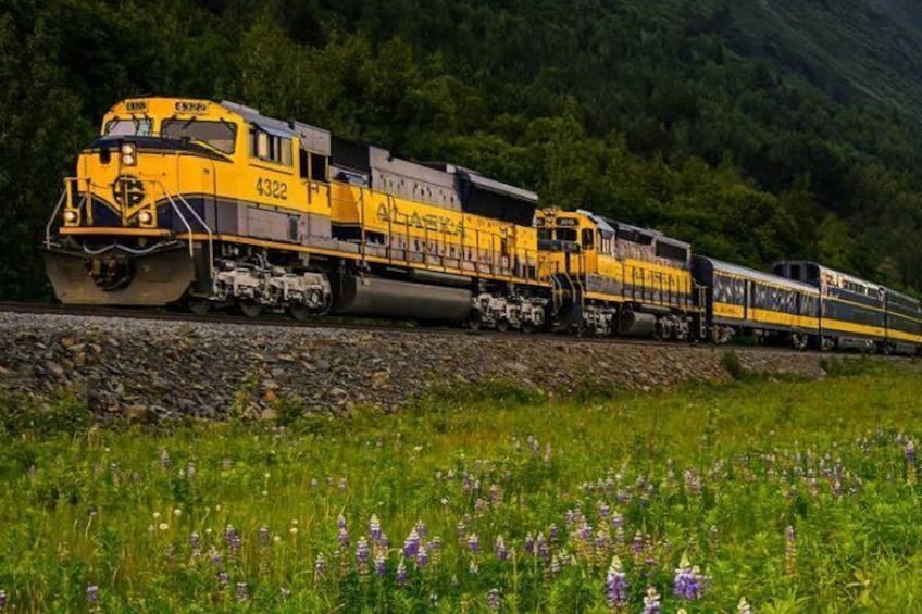 Alaska Railroad Anchorage to Denali One Way