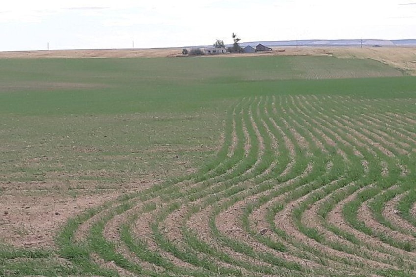 WASHINGTON ST AGRICULTURE, Apples & Irrigation