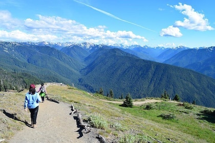 Sol Duc, Lake Crescent, and Hurricane Ridge Guided Tour in Olympic National...