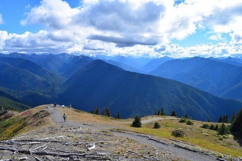 Olympic Mountain river valleys