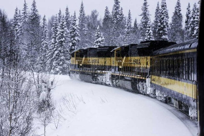 Alaska Railroad Aurora Winter Fairbanks to Anchorage One Way