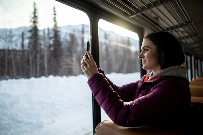 Alaska Railroad Aurora Winter Fairbanks to Anchorage One Way