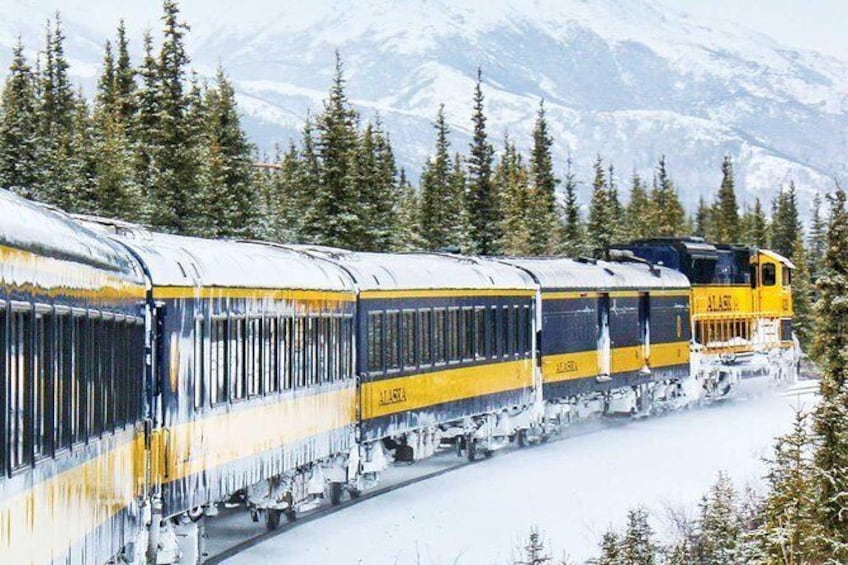 Alaska Railroad Aurora Winter Fairbanks to Anchorage One Way