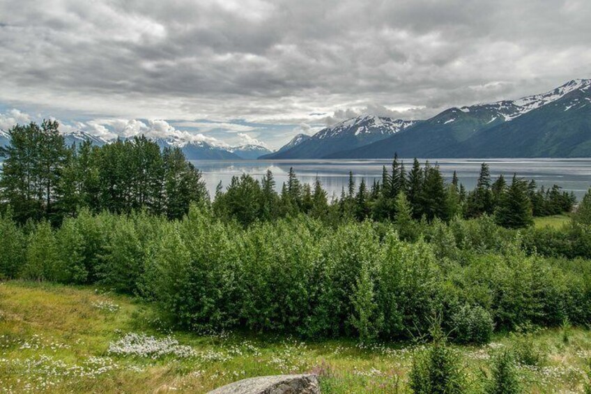 View of the spectacular Turnagain Arm on the Seward Highway