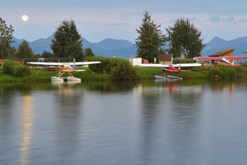 Glacier & Wildlife Discovery Tour