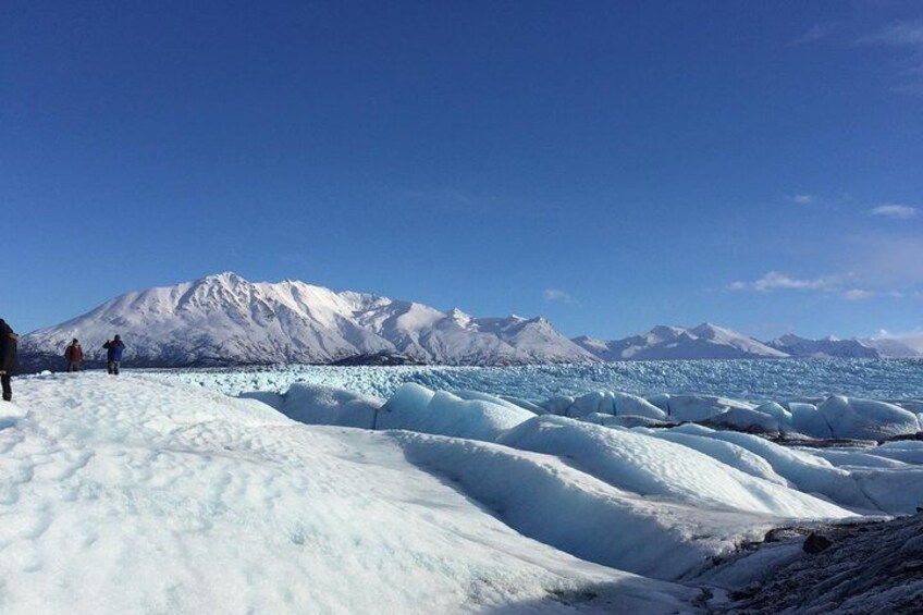 Alaska Helicopter Tour with Glacier Landing - 60 mins