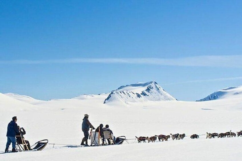 Heicopter Glacier Dogsled Tour