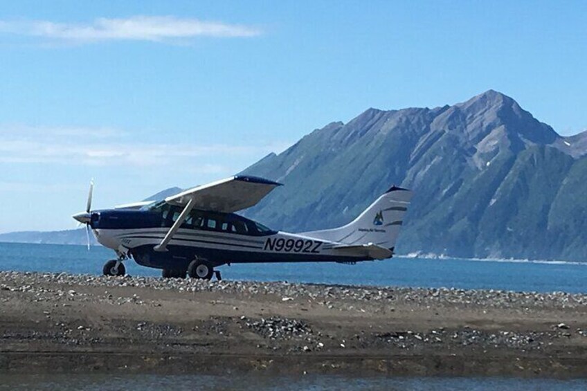 Bear Viewing Excursion and Airplane Adventure Tour