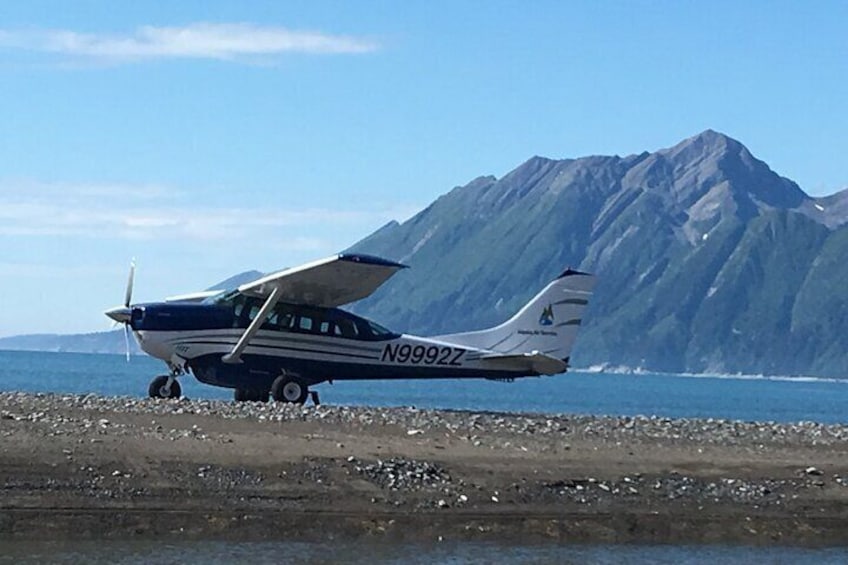 Bear Viewing Excursion and Airplane Adventure Tour