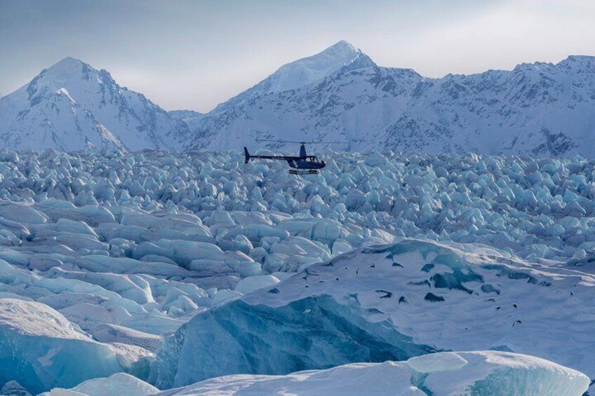 Helicopter Glacier Dogsled Tour with Lower Glacier Landing