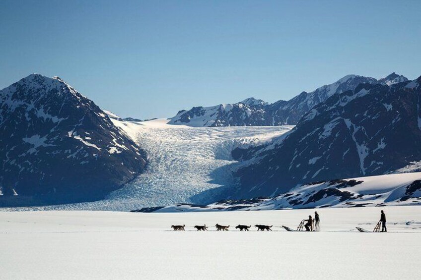 Helicopter Glacier Dogsled Tour with Lower Glacier Landing